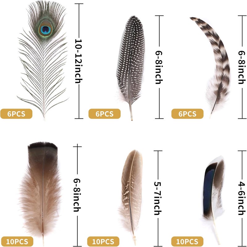Holmgren 48pcs Natural Feathers Bulk - 6 Styles Assorted Peacock, Pheasant, Turkey Feathers for Craft DIY Jewelry Hat Wedding Home Party Decoration - Image 2